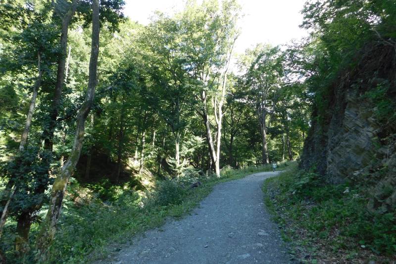 Medvednica
