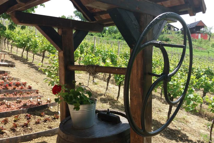 Izložba vina kontinentalne Hrvatske u Sv. Ivanu Zelini