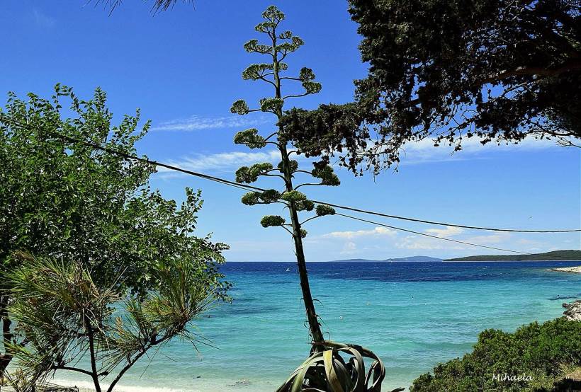 Otok Silba