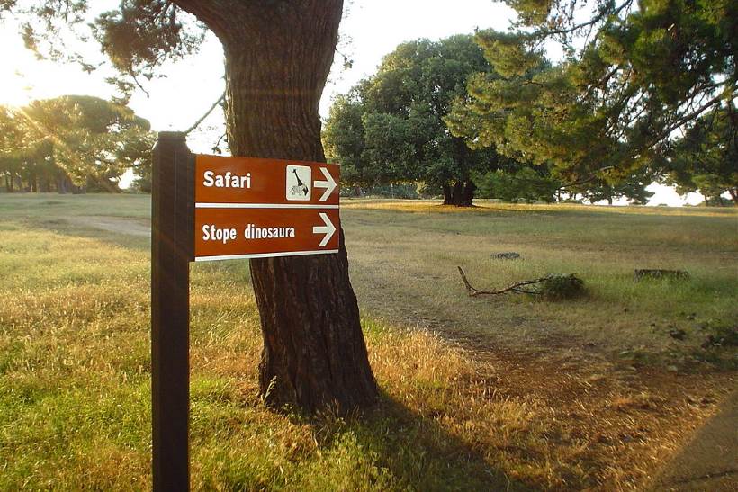 NACIONALNI PARK BRIJUNI: Hrvatsko otočje za koje s pravom kažu da je "raj na Zemlji"