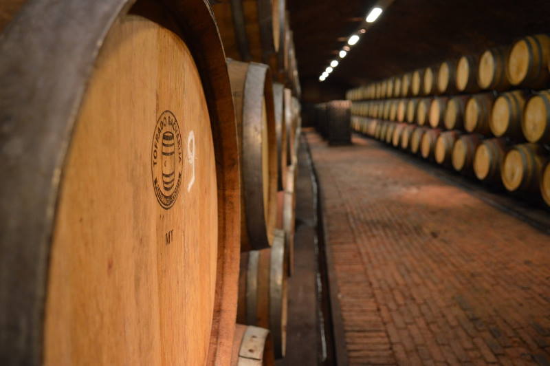 MUNDUS VINI: S prestižnog ocjenjivanja zlato za Graševinu Dika 2019. Feravina