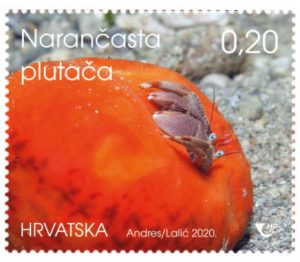 Narančasta plutača