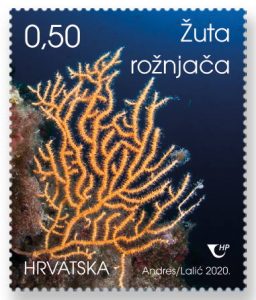 Žuta rožnjača