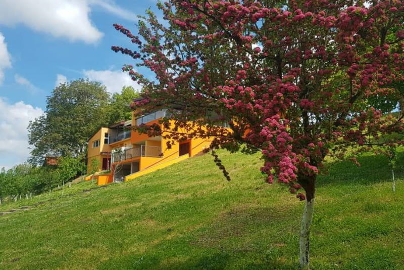 Srijem i Slavonija - pravi izbor za odmor u prekrasnom ambijentu, uz izvrsnu hranu i čuvena vina