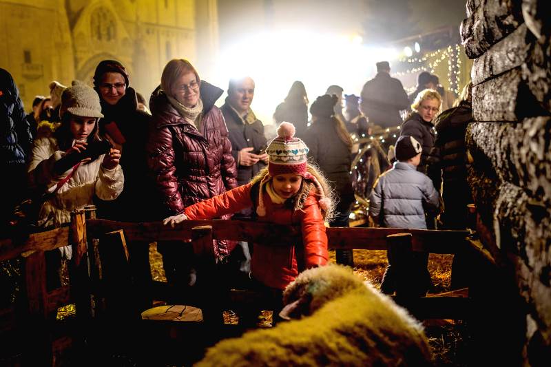 Affascinante presepe vivente a Zagabria: tradizioni cattoliche del periodo natalizio