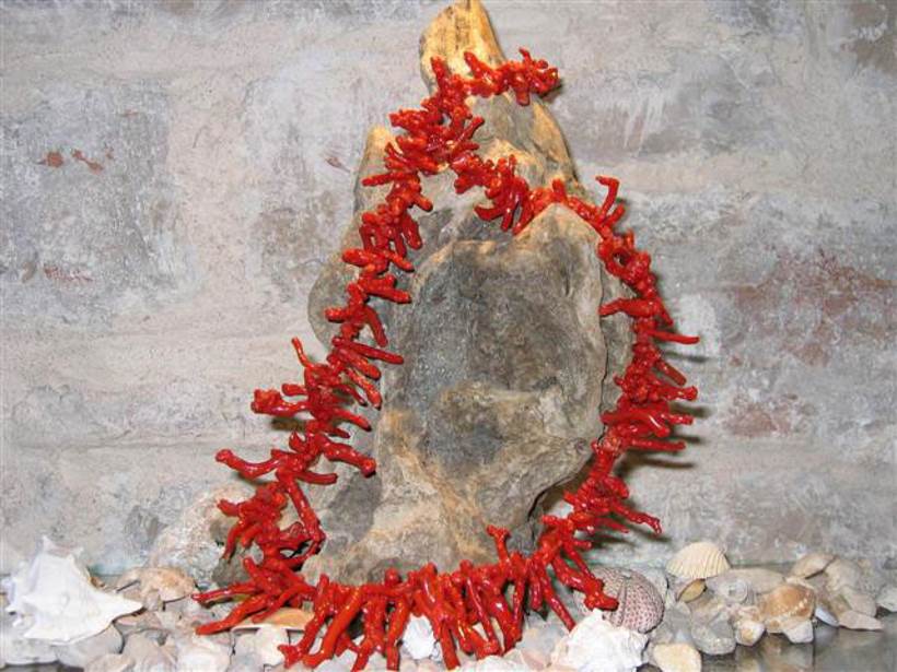 Coralli rossi – gioiello del mare e richezza culturale croata