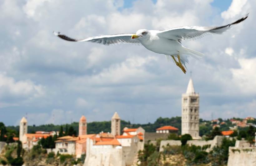 L'île qui fait rêver : Rab, 'île joyeuse'