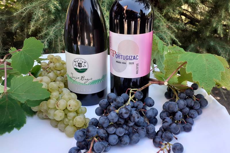 Vins de la Croatie continentale (1)