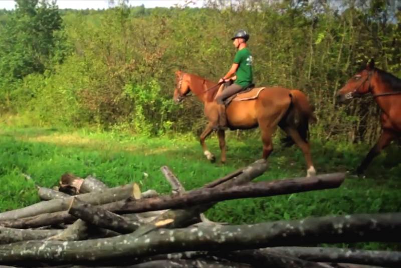 Pogledajte film ‘I ovo su Plitvičke doline” i upoznajte predivan dio Hrvatske [VIDEO]