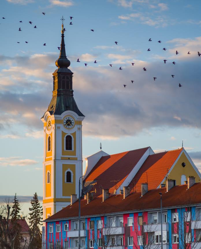 Crkva sv. Roka u Virovitici