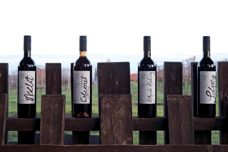 Upoznajte Pitomačku vinsku regiju, pit ćete eko vino i spavati u vinogradu!