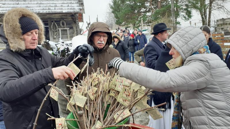 "Trsek moj zbudi se!" Vincekovo u Svetom Ivanu Zelini uz vino, pečene kobasice i slaninu