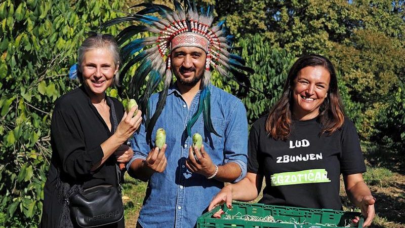 EGZOTIKA U ZAGORJU: U blizini Zagreba održava se Festival indijanskih banana