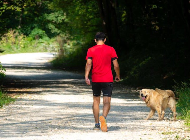 Otvara se obnovljena poučna ekostaza “Kroz Zelinsku goru”