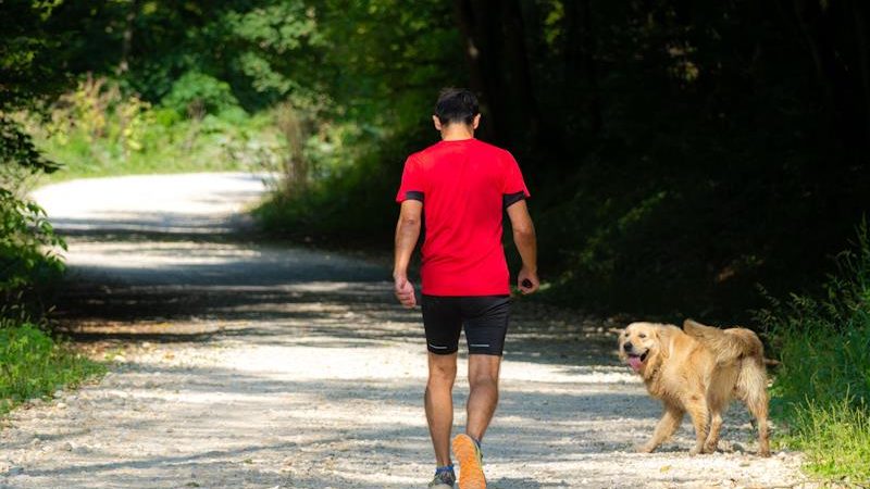 Otvara se obnovljena poučna ekostaza “Kroz Zelinsku goru”