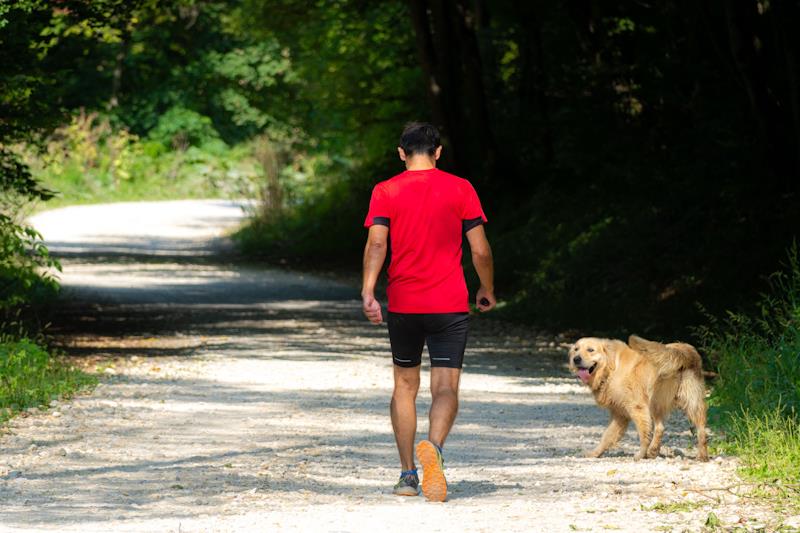poučna ekostaza Kroz Zelinsku goru