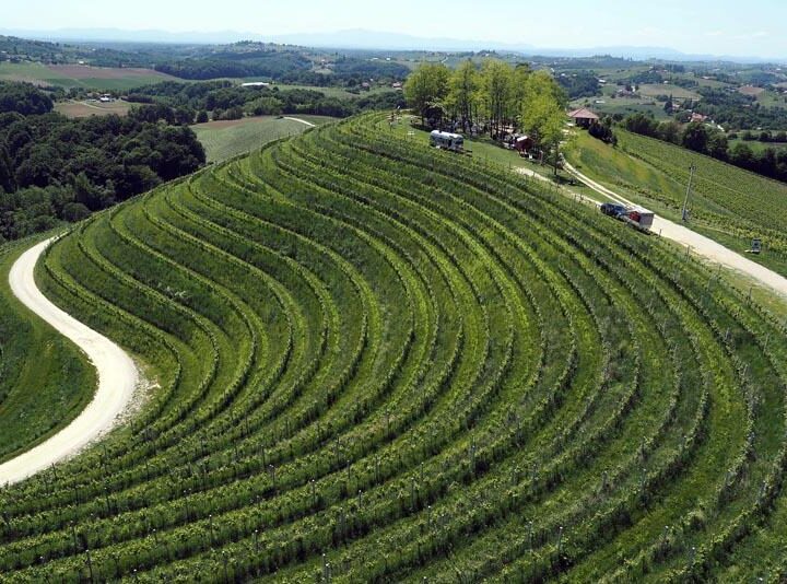 Wine&Walk – više od vinske manifestacija, to je prava šetnja kroz povijest i duh Međimurja