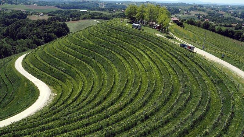 Wine&Walk – više od vinske manifestacija, to je prava šetnja kroz povijest i duh Međimurja