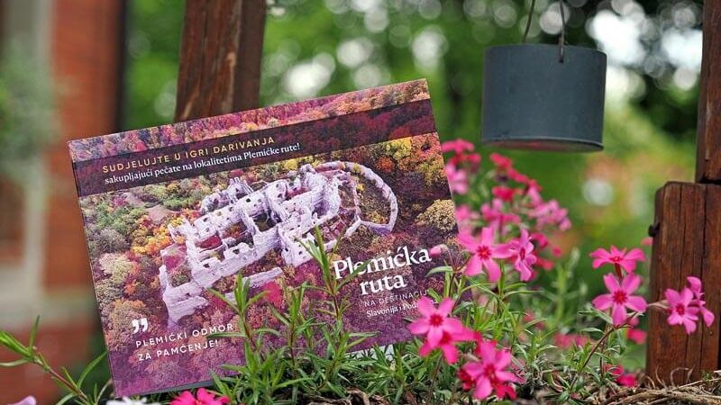 Od polja kamilice do najvišeg slapa Slavonije – ova vikend tura postaje pravi hit među putnicima