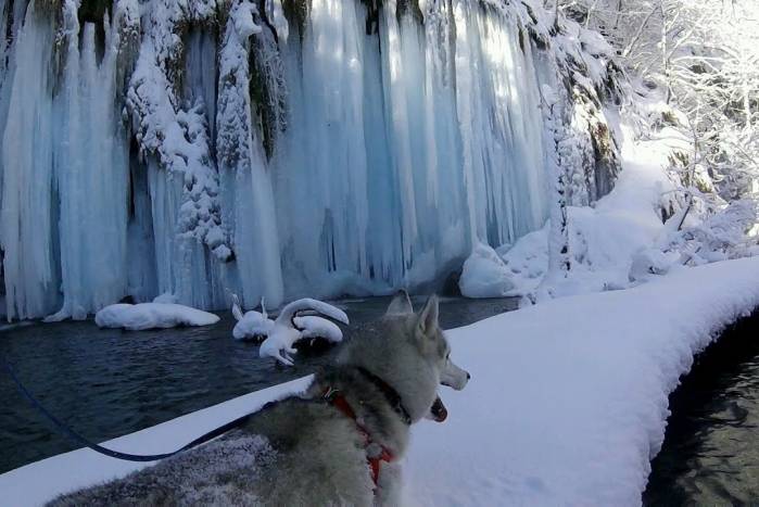 PLITVICE LAKES: Tour of the frozen falls [VIDEO]