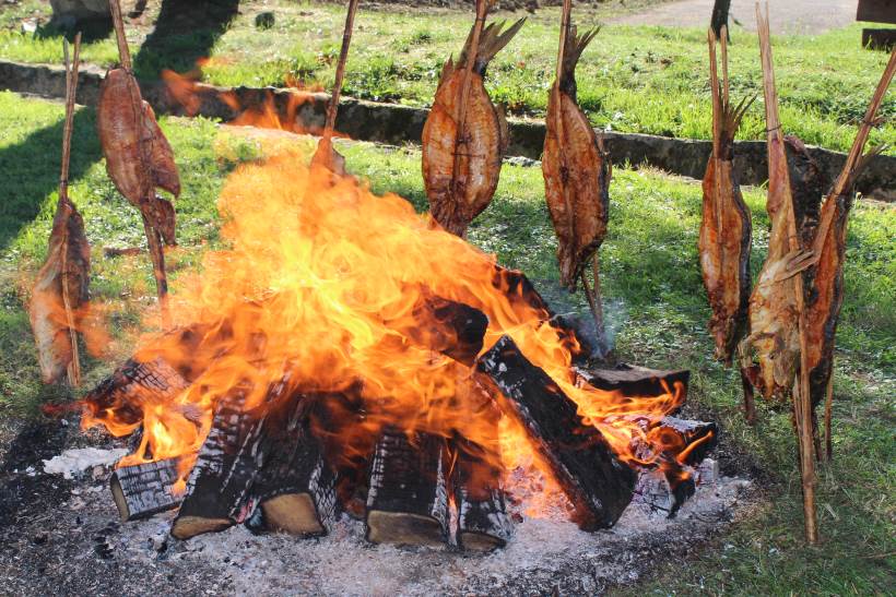 ŠARAN NA RAŠLJAMA: Znate li kako se priprema ova delicija?