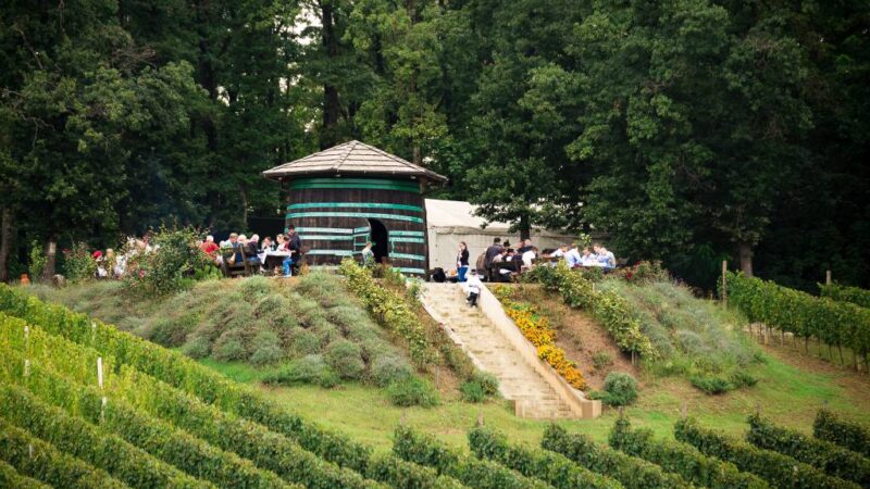 Otkrili smo prekrasnu zelenu destinaciju koja spaja biciklizam i hedonizam