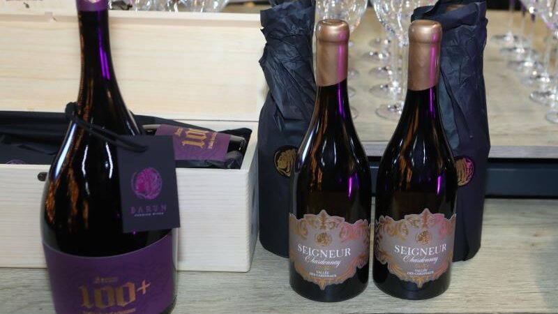 Novi aduti obiteljske vinarije Barun: Pjenušac iz stogodišnjeg vinograda i još tri asa