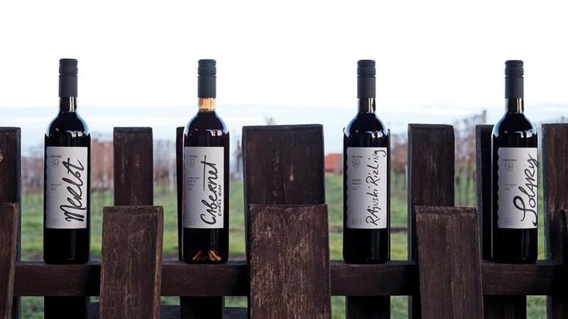Upoznajte Pitomačku vinsku regiju, pit ćete eko vino i spavati u vinogradu!