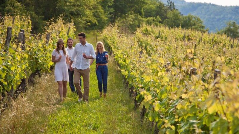 Prestižni časopis nahvalio Hrvatsku: Toskano, skloni se, evo Istre, Konavala, Pelješca…