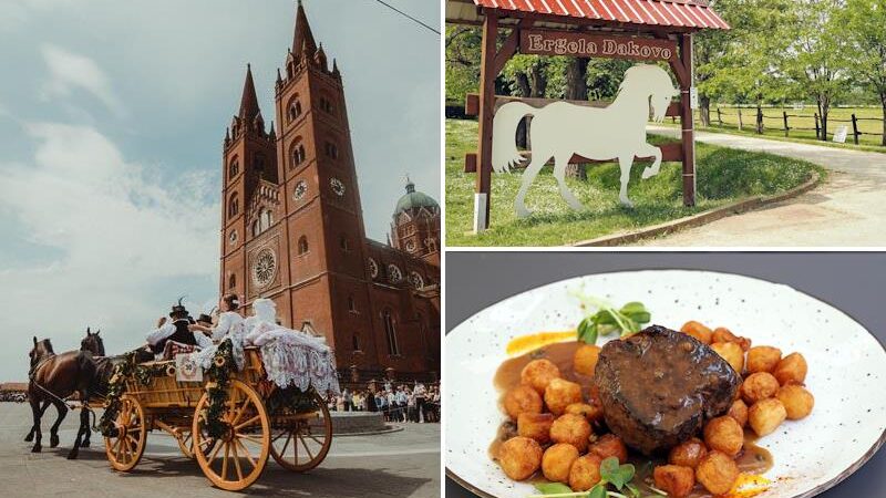 Ljeto je pred vratima, donosimo 7 razloga zbog kojih treba posjetiti Đakovo u najtoplijem dijelu godine!